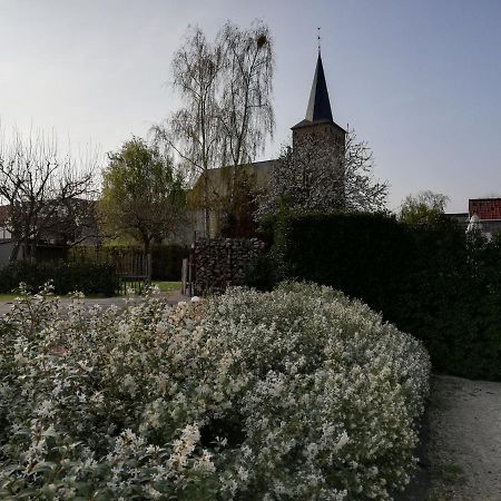 B&B 'T Huys Van Enaeme Oudenaarde Zewnętrze zdjęcie