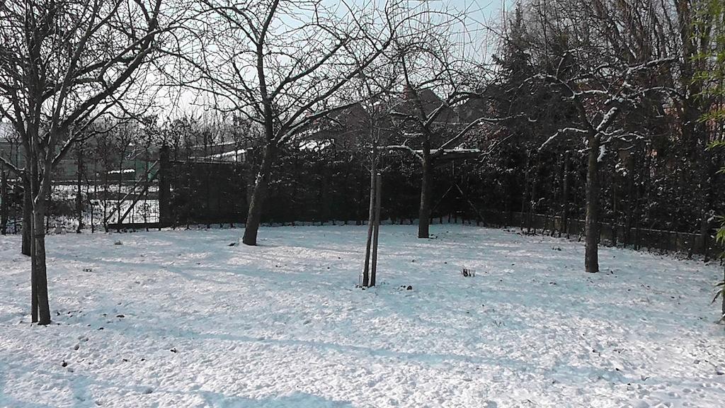 B&B 'T Huys Van Enaeme Oudenaarde Zewnętrze zdjęcie